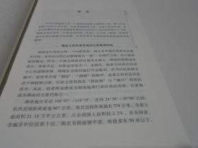 湖湘文库：湖湘文化述要（新书）