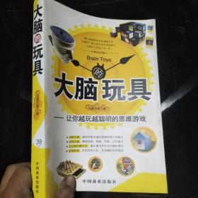 大脑的玩具:让你越玩越聪明的思维游戏