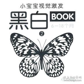 小宝宝视觉激发黑白BOOK  2  （6-18个月）