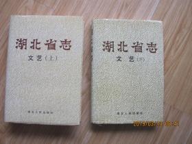 湖北省志 文艺 上下册 2本合售（32开精装）.