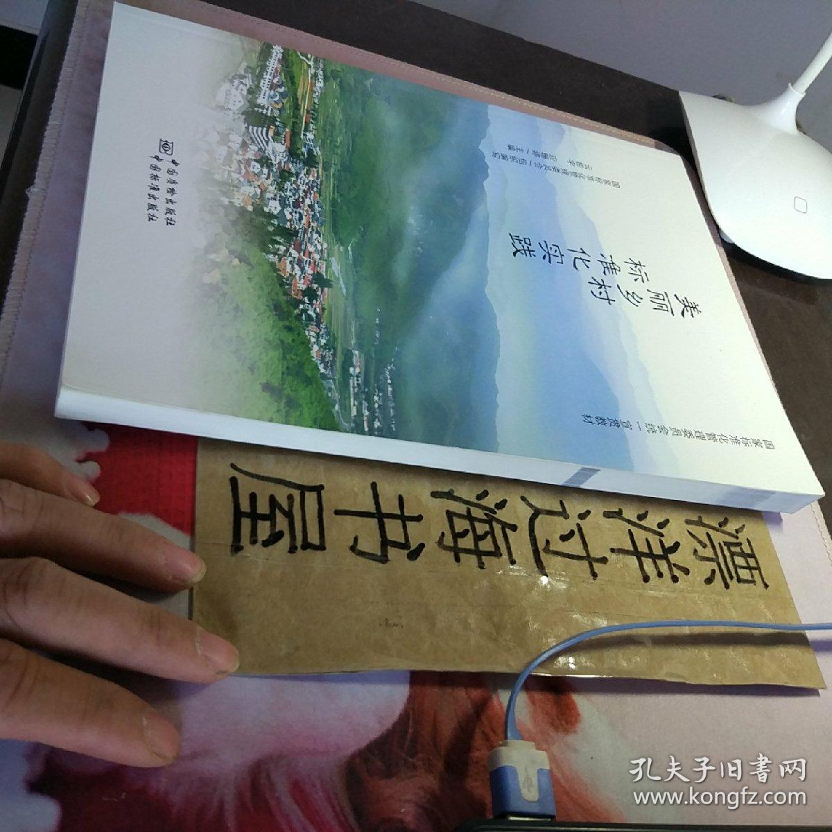 美丽乡村 标准化实践