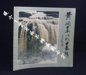 黄润华山水画集