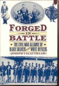 美国内战研究 Forged In Battle: The Civil War Alliance Of Black Soldiers And White Officers