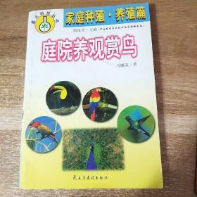 家庭养观赏鸟