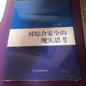 对综合安全的现实思考