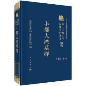 长江三峡工程文物保护项目报告乙种第三十一号：丰都大湾墓群