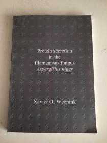 Protein secretion in the filamentous fungus Aspergillus niger