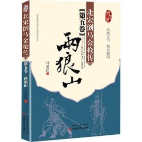 绝版评书文本经典杨家将评书北宋倒马金枪传之五《两狼山》之六《永平安》（两册合售）