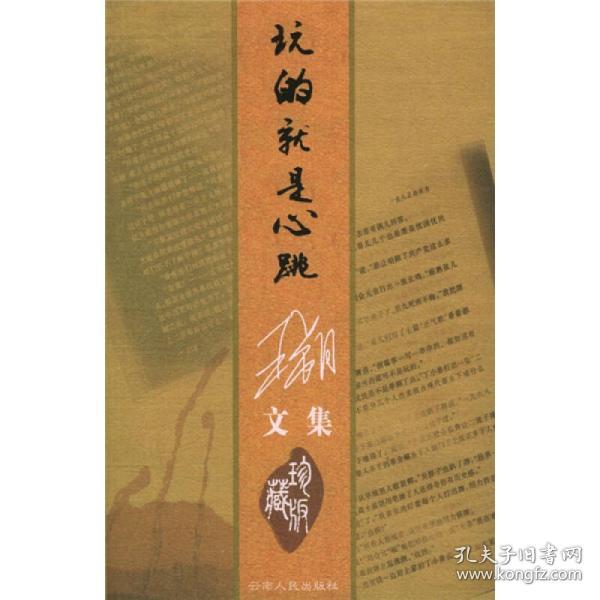 玩的就是心跳（王朔文集珍藏版 全一册）