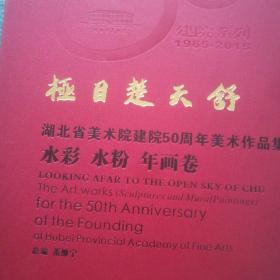 《极目楚天舒～湖北省美术院建院50周年美术作品集》全13册+《图片纪实卷》一册，净重42公斤