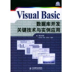 Visual Basic数据库开发关键技术与实例应用