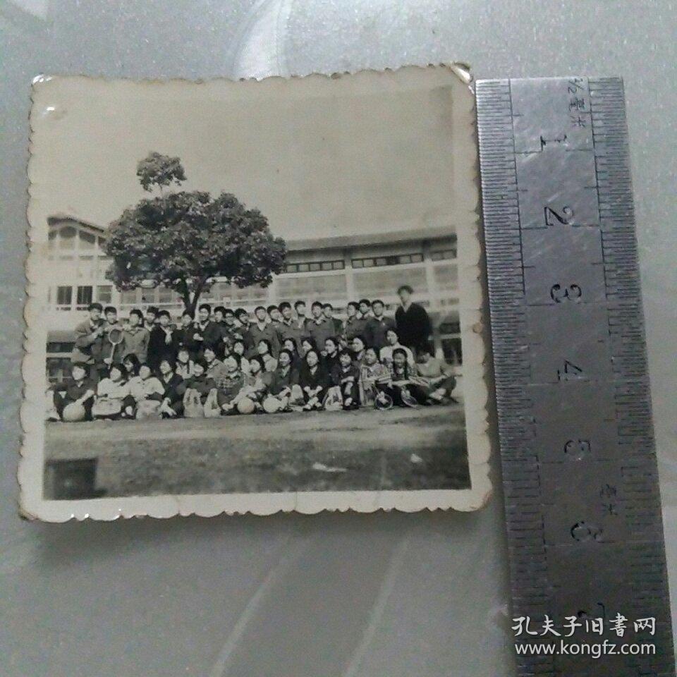 集体合影照片