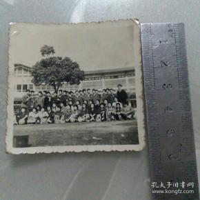 集体合影照片