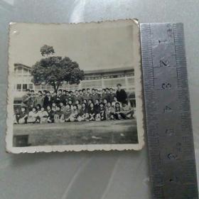集体合影照片