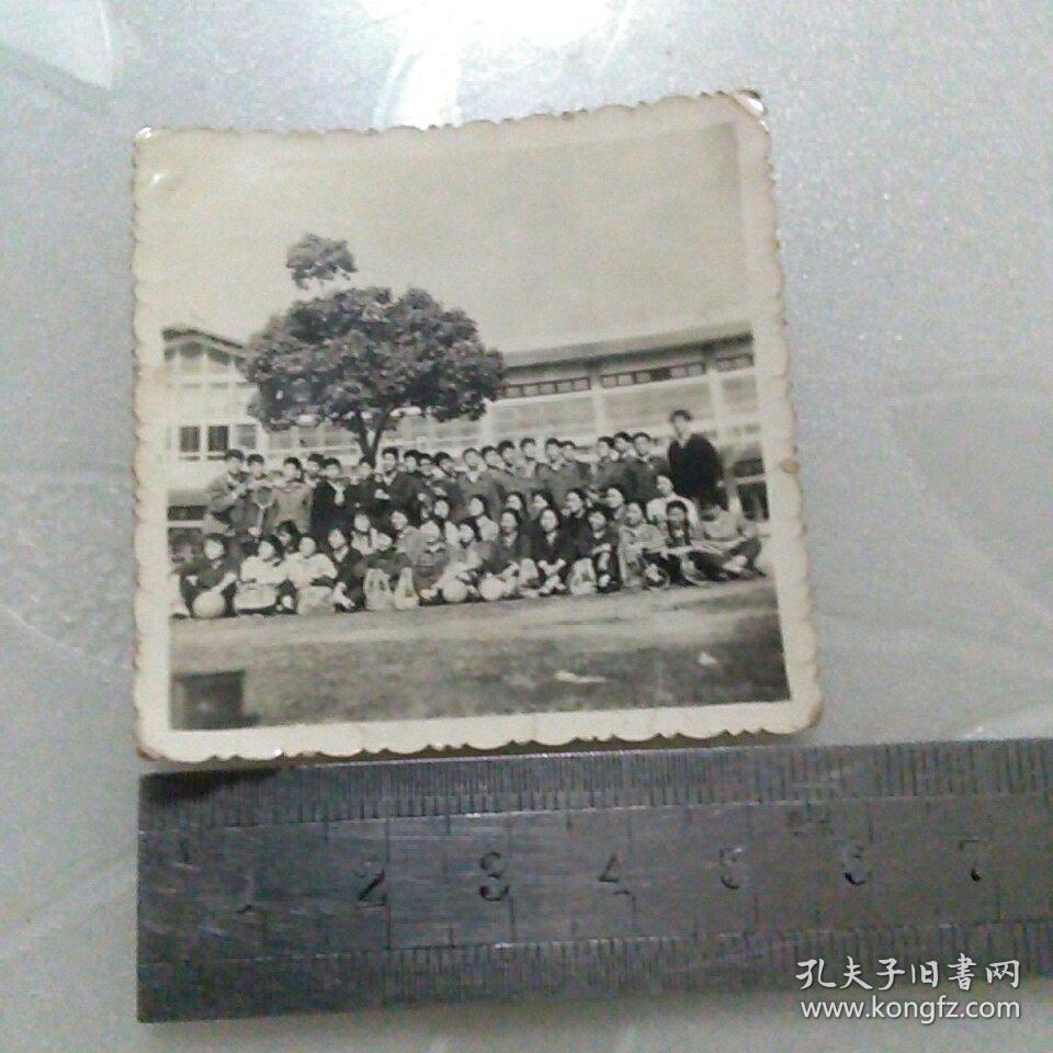 集体合影照片