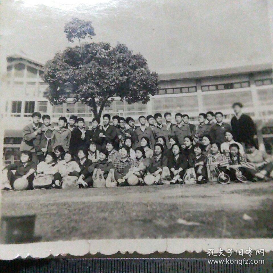 集体合影照片