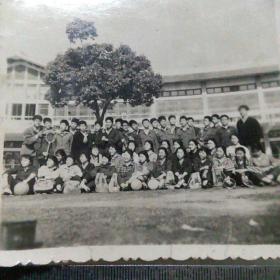 集体合影照片