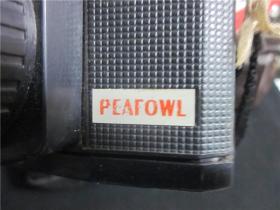 peafowl孔雀塑料照相机。