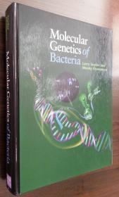 Molecular Genetics of Bacteria （Snyder 细菌的分子遗传学）