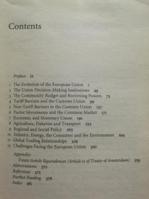 Economics Of Europe : From Common Market To European Union  by Dennis Swann（欧洲研究）英文原版书