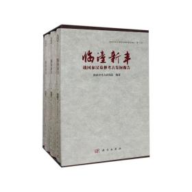 临潼新丰：战国秦汉墓葬考古发掘报告（全三册） 9787030511256