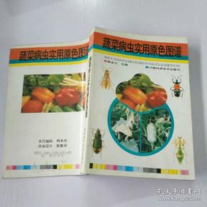 蔬菜病虫实用原色图谱