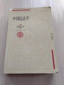 全国重点政法院校系列教材：中国民法学