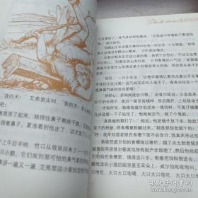 夏洛的网