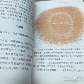 夏洛的网
