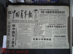 中国青年报 1996.11.8