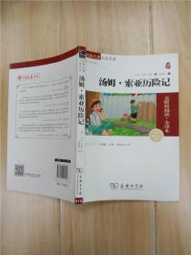 经典名著 大家名译：汤姆·索亚历险记（无障碍阅读 全译本 素质版）