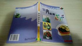 室内盆载花卉.