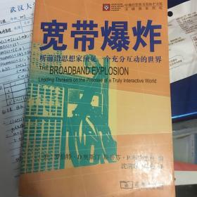 宽带爆炸：听前沿思想家预见一个充分互动的世界