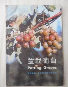 盆栽葡萄 上海科学技术出版社