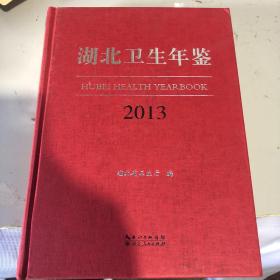 湖北卫生年鉴2013