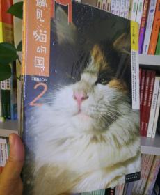 遇见·猫的国 第2季