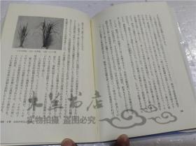 原版日本日文書 お米とともに 松尾哲郎 玉川大學出版部 1976年8月 32開軟精裝