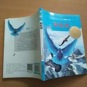 彩虹鸽