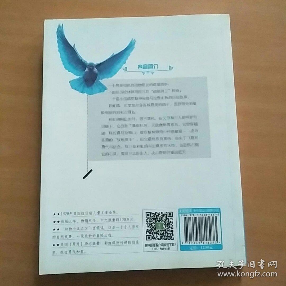 彩虹鸽