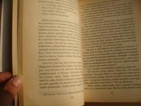 Aydınlanma değil merhamet! 土耳其原版 大32开