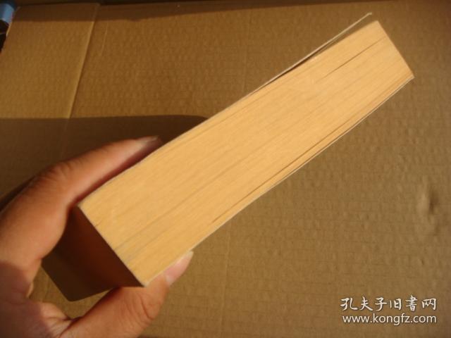 Aydınlanma değil merhamet! 土耳其原版 大32开