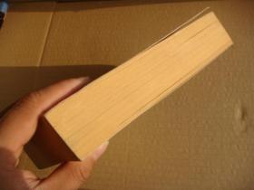 Aydınlanma değil merhamet! 土耳其原版 大32开