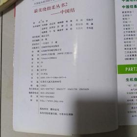 最美绕指柔丛书2：中国结