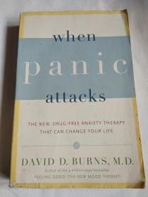 When Panic Attacks: The New, Drug-free Anxiety Treatments That Can Change Your Life(伯恩斯焦虑自助疗法)