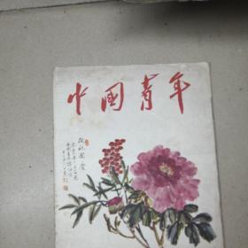 中国青年杂志1956年第19期