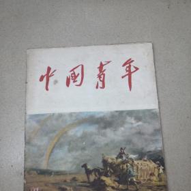 中国青年杂志1956年第21期