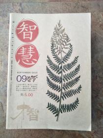 智慧201509