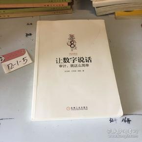 让数字说话：审计，就这么简单