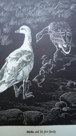 Manka, The Sky Gipsy The Story of a Wild Goose 经典动物文学绘本《野雁曼卡的故事》珍贵1版2印 名家Watkins-Pitchford自撰自刻大量精美木刻版画