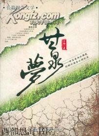 甘泉梦—甘谷县西北部农村饮水安全工程纪实
